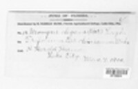 Image Associated With the Occurence